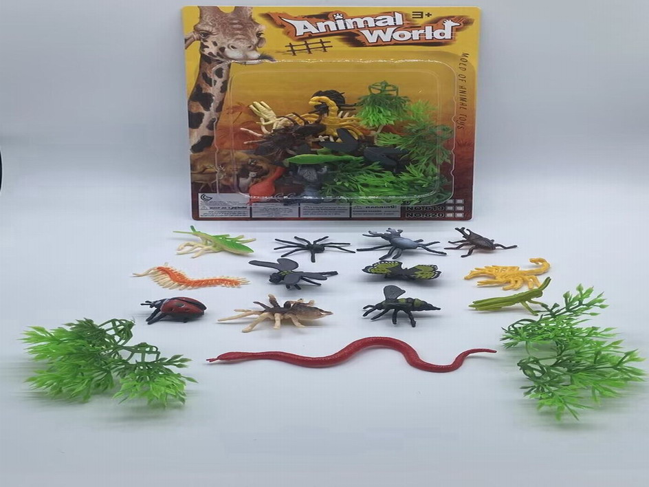 <img src='photo/Z/JZ110009.jpg'width='400' height='300'>