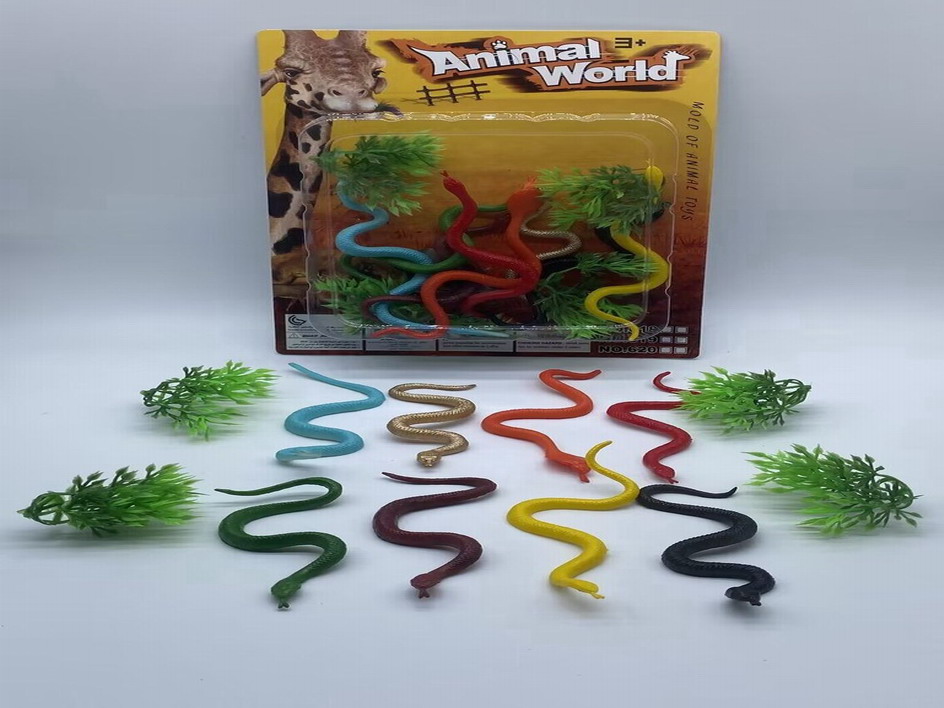 <img src='photo/Z/JZ110010.jpg'width='400' height='300'>