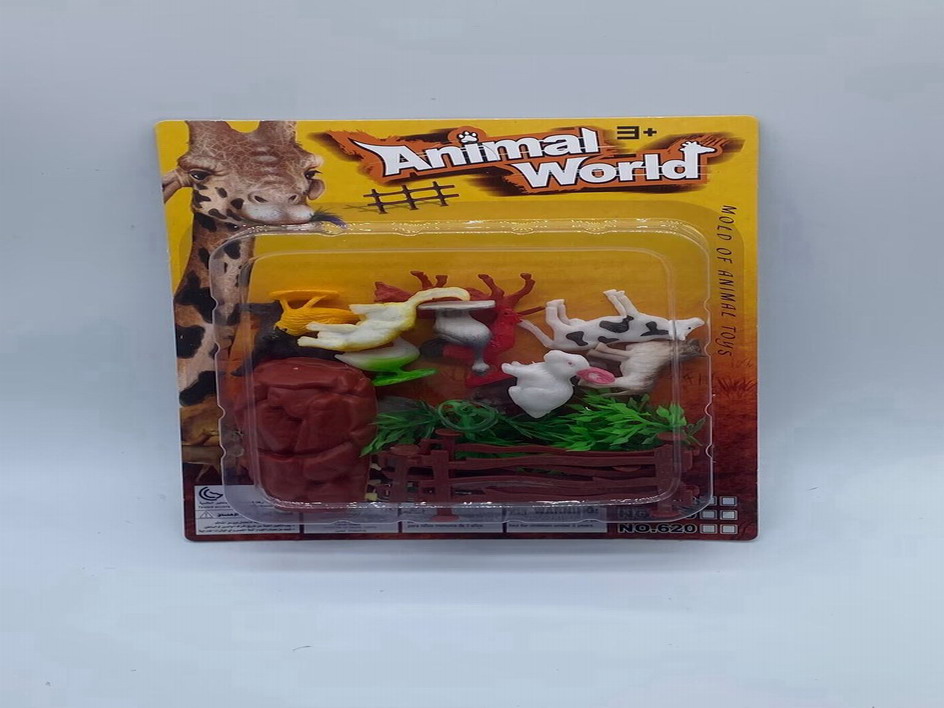 <img src='photo/Z/JZ110012.jpg'width='400' height='300'>