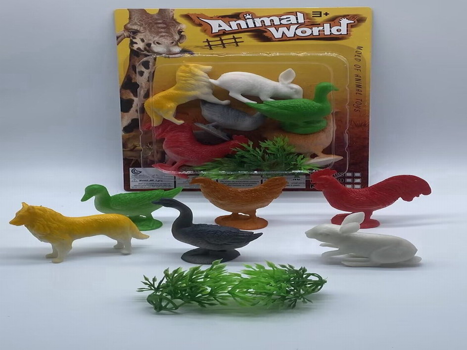 <img src='photo/Z/JZ110019.jpg'width='400' height='300'>