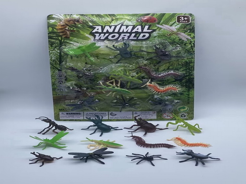 <img src='photo/Z/JZ110024.jpg'width='400' height='300'>