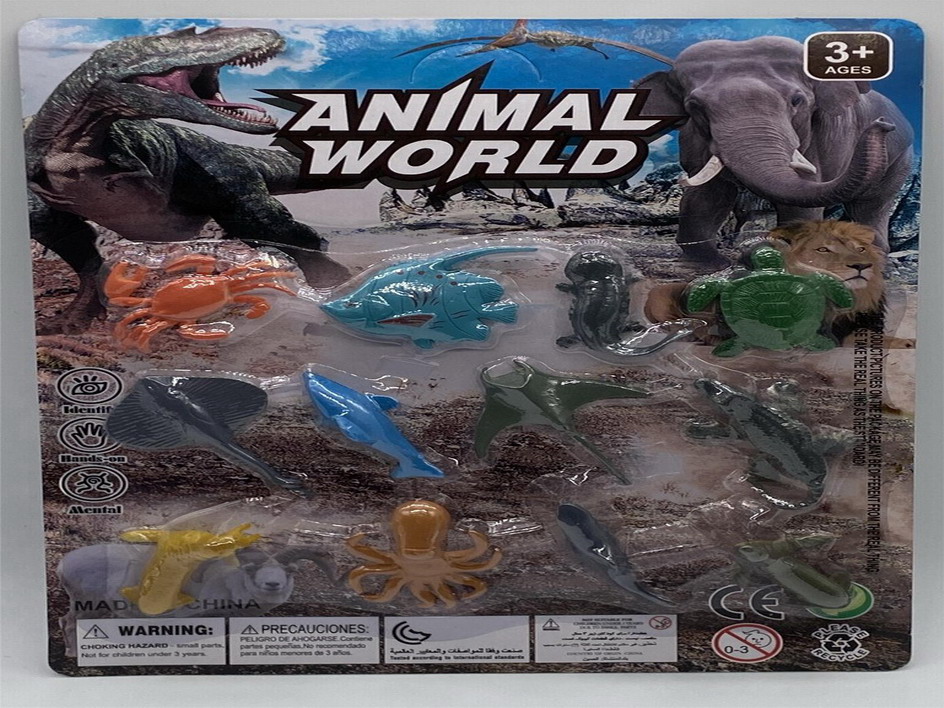 <img src='photo/Z/JZ110041.jpg'width='400' height='300'>