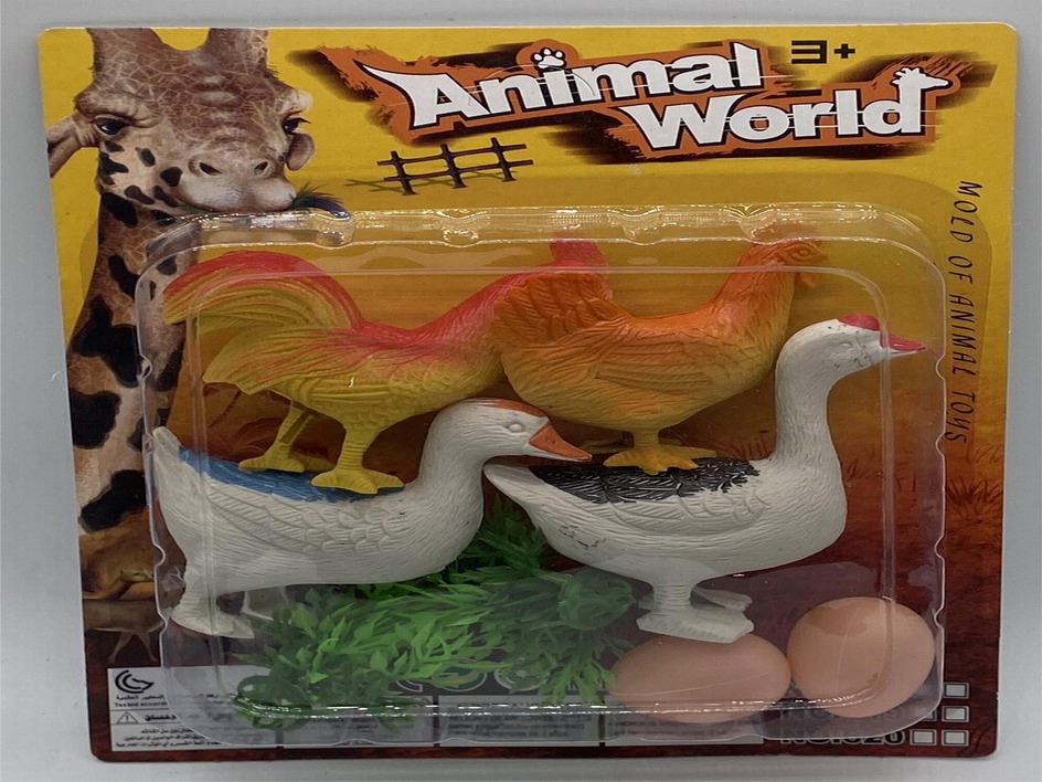 <img src='photo/Z/JZ110056.jpg'width='400' height='300'>