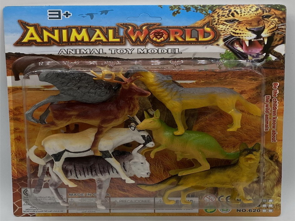 <img src='photo/Z/JZ110059.jpg'width='400' height='300'>