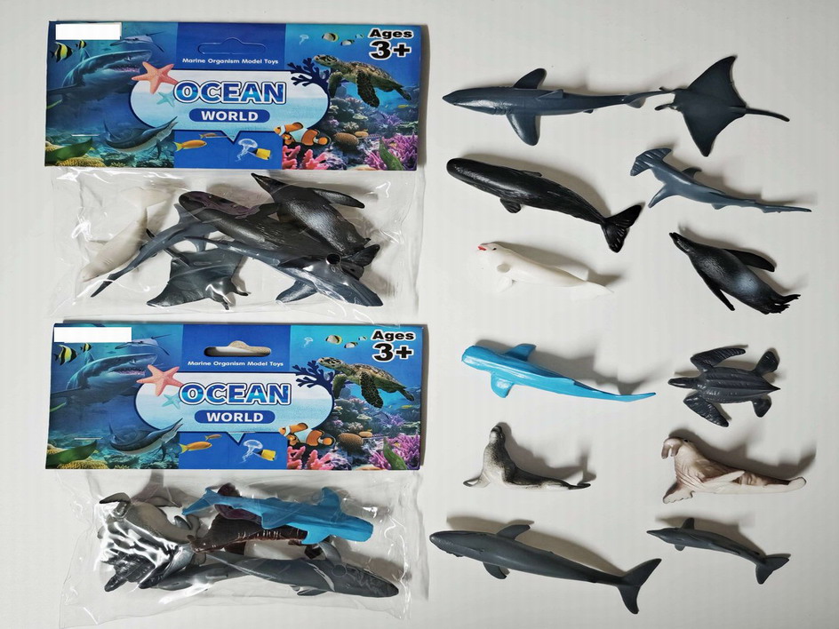 <img src='photo/Z/JZ110070.jpg'width='400' height='300'>