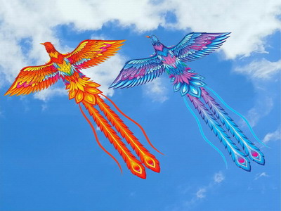 <img src='photo/Z/JZ116109.jpg'width='400' height='300'>