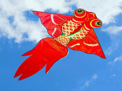 <img src='photo/Z/JZ116111.jpg'width='400' height='300'>