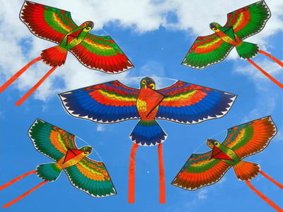 <img src='photo/Z/JZ116113.jpg'width='400' height='300'>