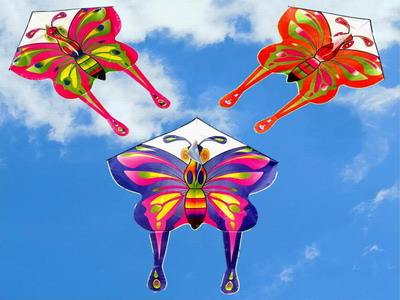 <img src='photo/Z/JZ116132.jpg'width='400' height='300'>