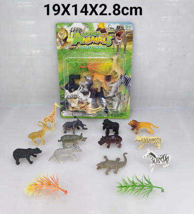 <img src='photo/Z/JZ119660.jpg'width='400' height='300'>