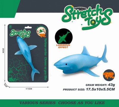 <img src='photo/Z/JZ119728.jpg'width='400' height='300'>