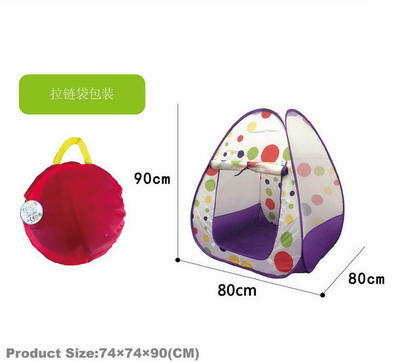 <img src='photo/Z/JZ120153.jpg'width='400' height='300'>