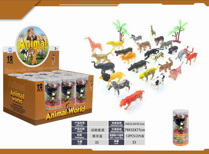 <img src='photo/Z/JZ120192.jpg'width='400' height='300'>