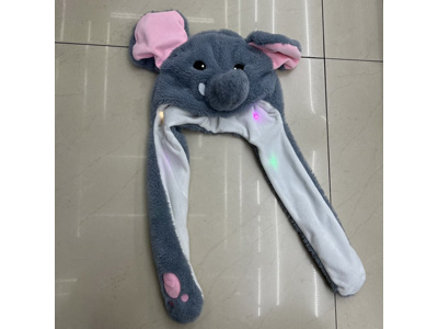 <img src='photo/Z/JZ123543.jpg'width='400' height='300'>