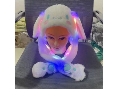 <img src='photo/Z/JZ123573.jpg'width='400' height='300'>