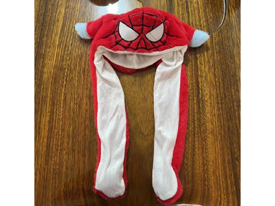 <img src='photo/Z/JZ123592.jpg'width='400' height='300'>