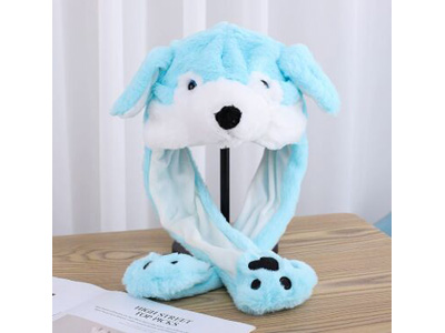 <img src='photo/Z/JZ123617.jpg'width='400' height='300'>