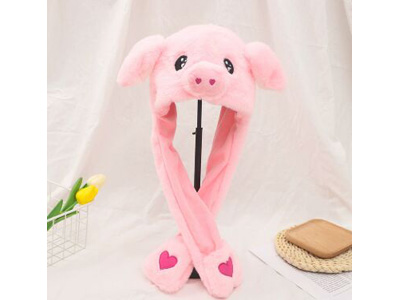 <img src='photo/Z/JZ123643.jpg'width='400' height='300'>