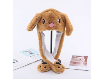 <img src='photo/Z/JZ123647.jpg'width='400' height='300'>