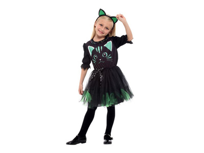 <img src='photo/Z/JZ123725.jpg'width='400' height='300'>