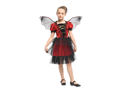 <img src='photo/Z/JZ123747.jpg'width='400' height='300'>