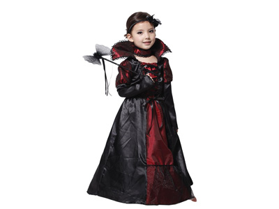 <img src='photo/Z/JZ123752.jpg'width='400' height='300'>