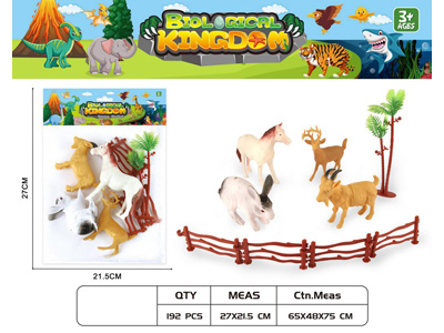 <img src='photo/Z/JZ124633.jpg'width='400' height='300'>