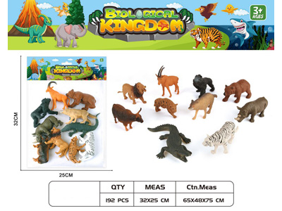 <img src='photo/Z/JZ124638.jpg'width='400' height='300'>