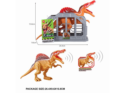 <img src='photo/Z/JZ124685.jpg'width='400' height='300'>