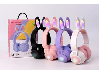 <img src='photo/Z/JZ124697.jpg'width='400' height='300'>