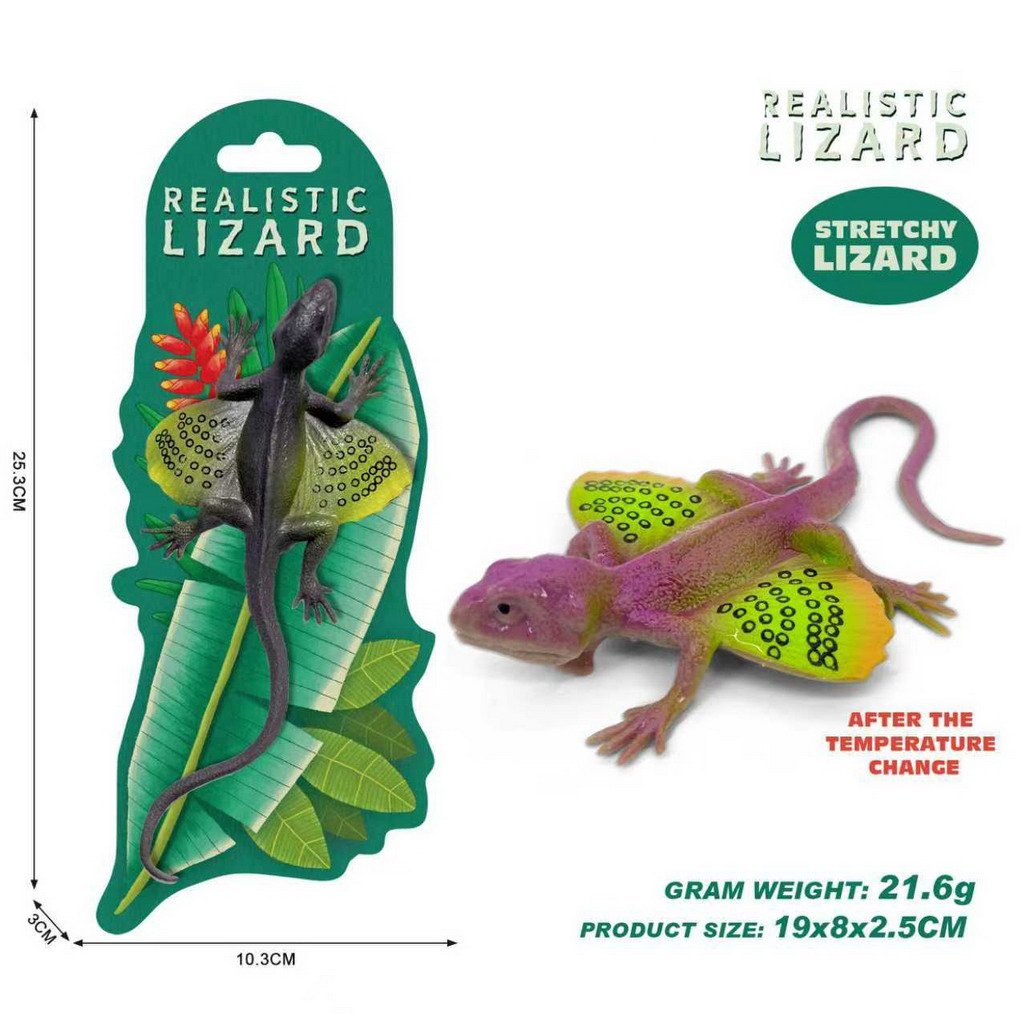 <img src='photo/Z/JZ124725.jpg'width='400' height='300'>