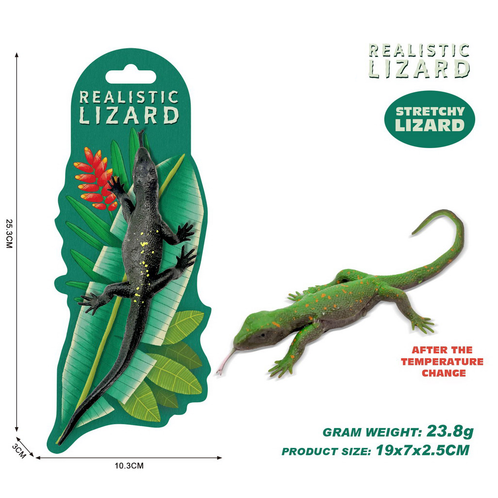 <img src='photo/Z/JZ124727.jpg'width='400' height='300'>