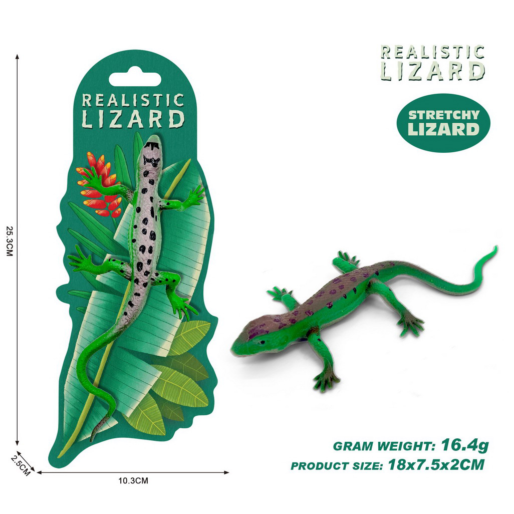 <img src='photo/Z/JZ124734.jpg'width='400' height='300'>