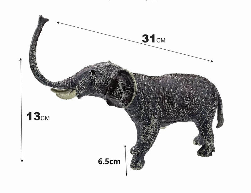 <img src='photo/Z/JZ126001.jpg'width='400' height='300'>