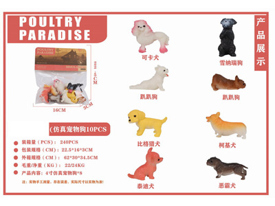 <img src='photo/Z/JZ126796.jpg'width='400' height='300'>