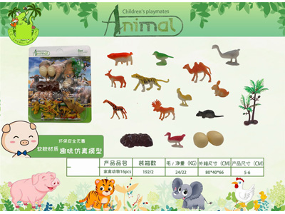 <img src='photo/Z/JZ126817.jpg'width='400' height='300'>