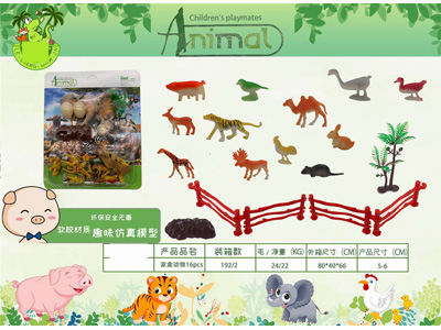 <img src='photo/Z/JZ126820.jpg'width='400' height='300'>