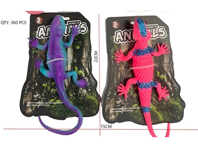 <img src='photo/Z/JZ127221.jpg'width='400' height='300'>