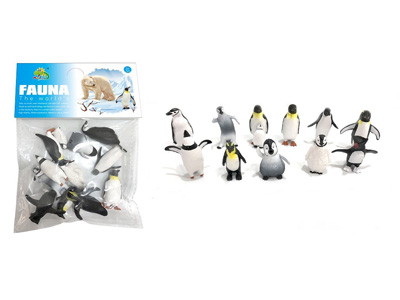 <img src='photo/Z/JZ128547.jpg'width='400' height='300'>