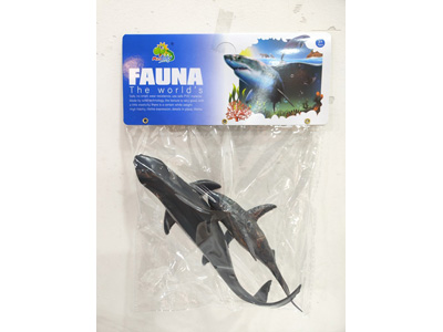 <img src='photo/Z/JZ128660.jpg'width='400' height='300'>