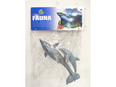 <img src='photo/Z/JZ128662.jpg'width='400' height='300'>